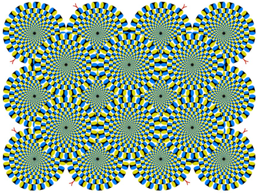 【社论】加密市场的集体幻象：我们是否洞见了真实？