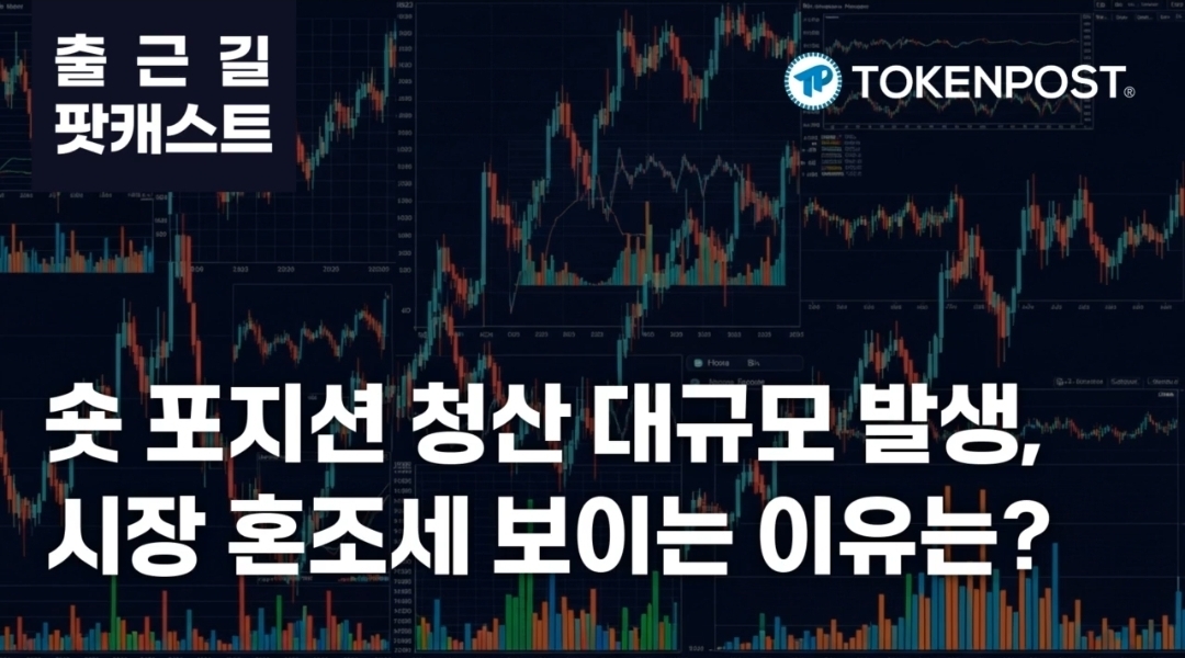 2月25日通勤播客：空头平仓潮大规模涌现 市场波动加剧
