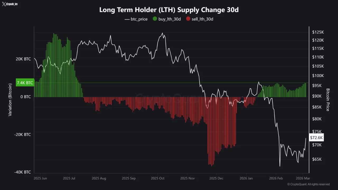 长期持有者重返买入模式 比特币价格走势现关键信号