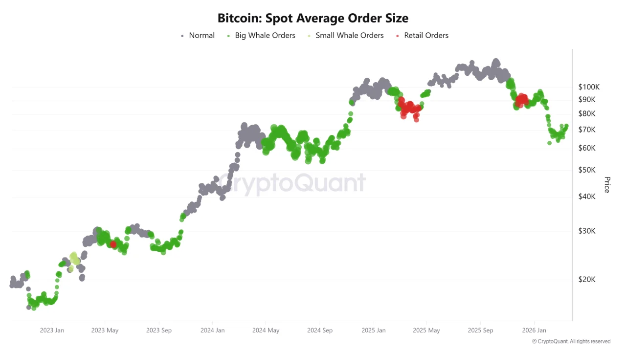 鲸鱼增持信号显现：比特币或迎三至五月突破窗口