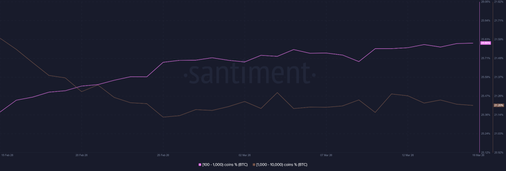 NUPL警报拉响：牛市假象下的资金暗流