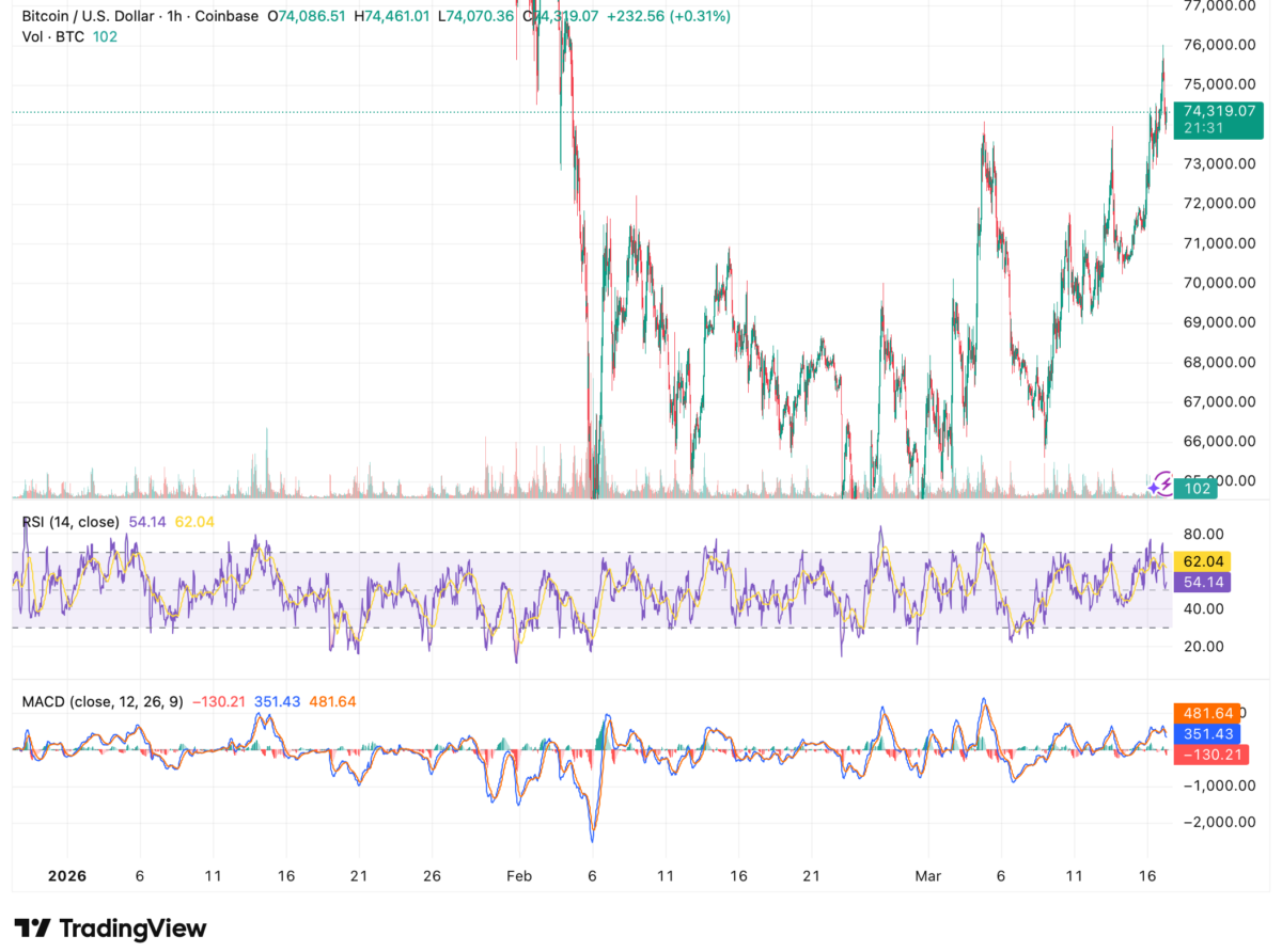 比特币逼近75000美元大关，山寨币集体爆发