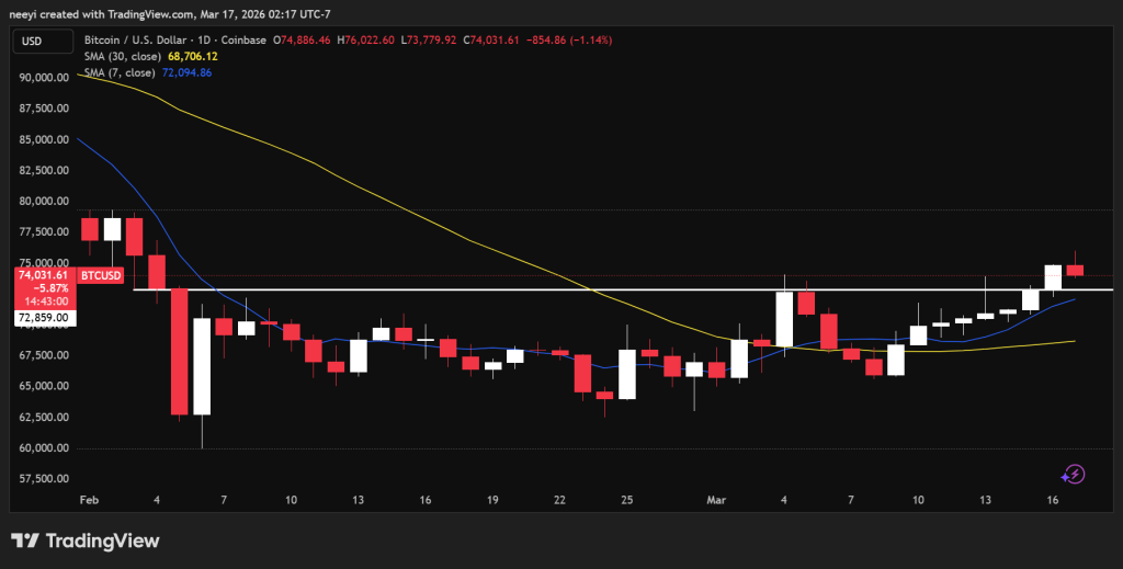 三月中旬加密市场动态：比特币企稳，主流山寨币酝酿反弹