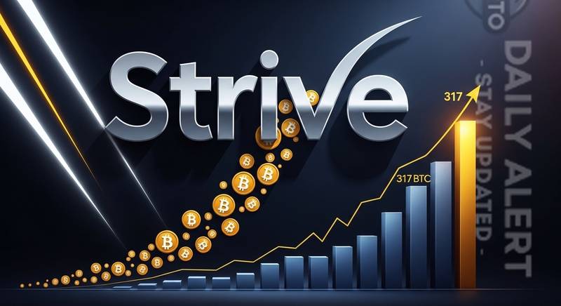 斯瑞夫四月狂揽超1.3万枚比特币冲进前十