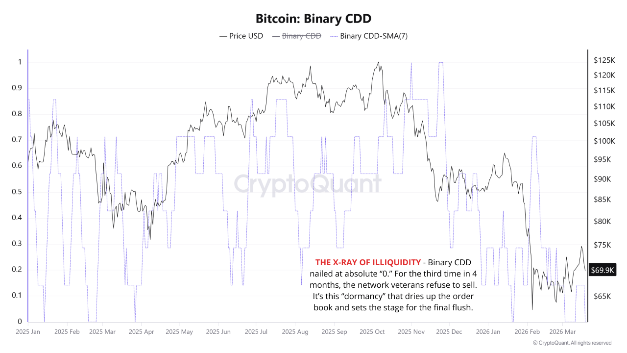 二元CDD指标走势图