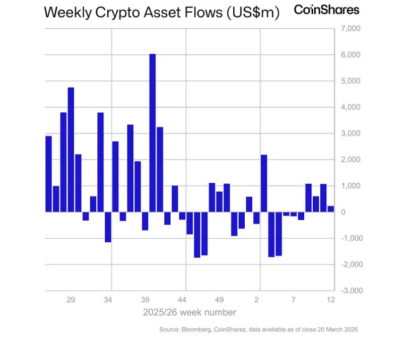 数字资产资金流入放缓背后：政策预期主导
