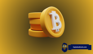 比特币连跌六个月逼近历史极值