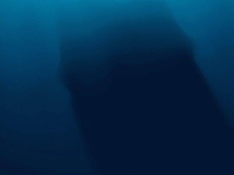 巨鲸静默：比特币链上活动创一年新低