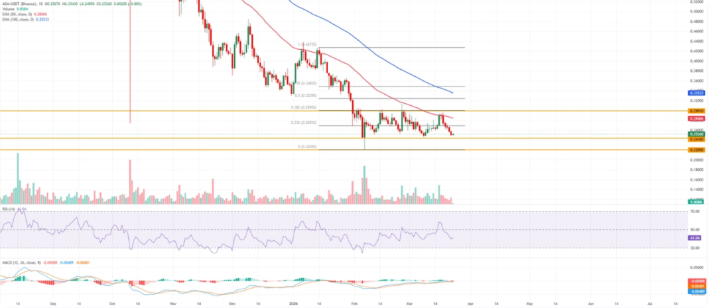 卡尔达诺资金费率与价格走势图