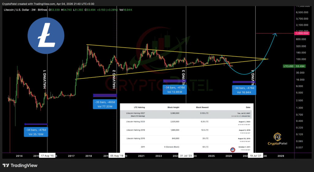 莱特币减半行情图