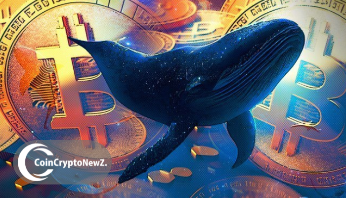 巨鲸持仓超800 BTC 暗藏比特币轧空信号