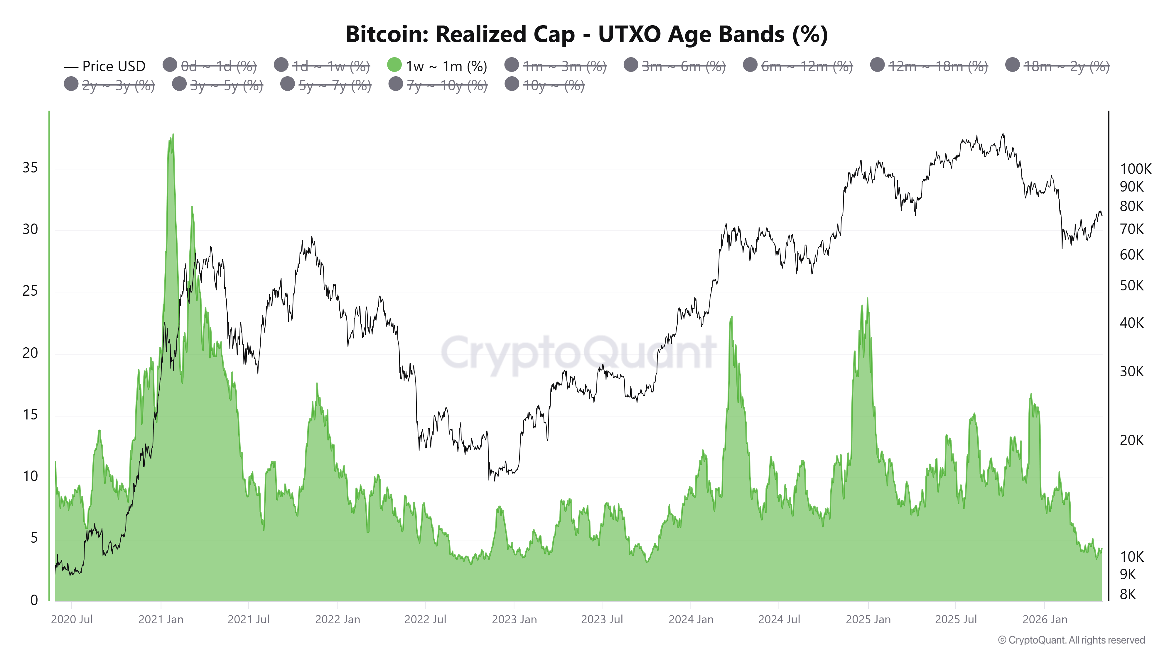 短期持有者活动数据图表