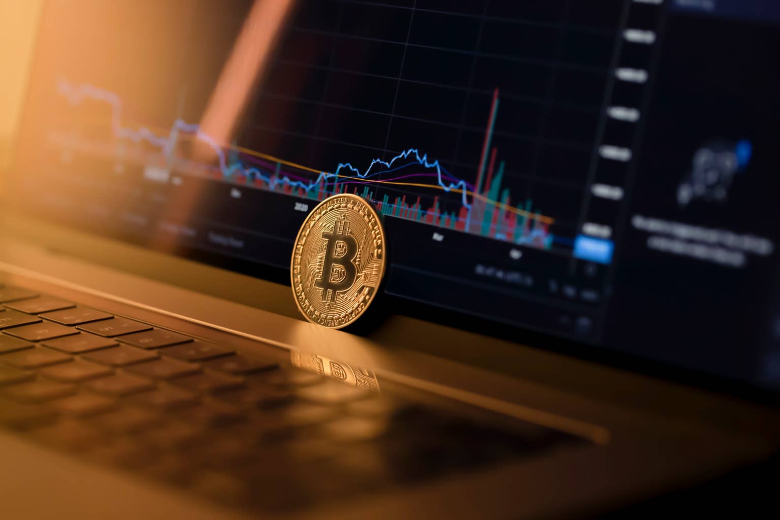 米诺陶反向布局：拒用AI打造透明交易系统
