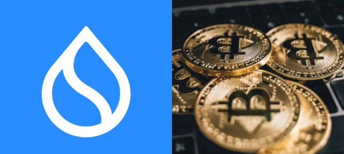 Sui推出Hashi测试网，激活比特币原生收益