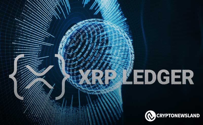 XRP Ledger面临SEC规则下的AMM访问测试