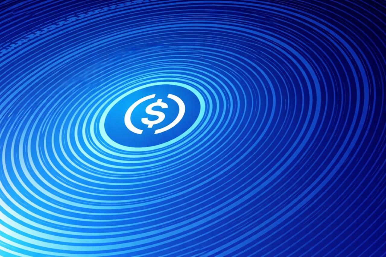 USDC储备创纪录：6大钱包控25%供应量