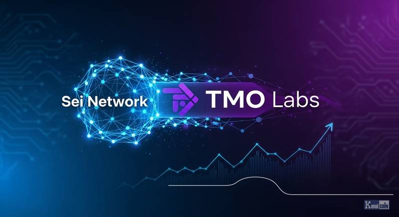 TMO与Sei Network联手推韩区链上支付