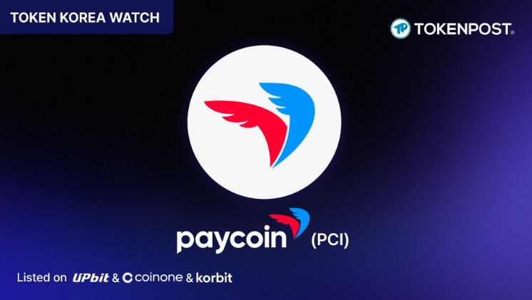 PayCoin重启：从支付代币到全球结算基建