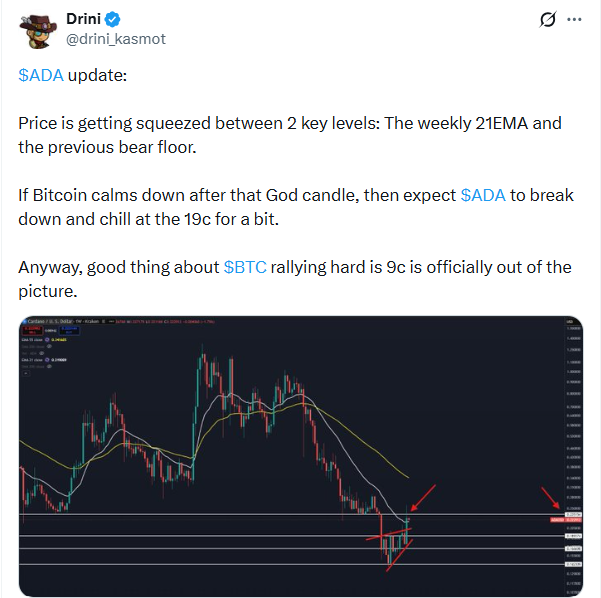 Cardano Price Analysis